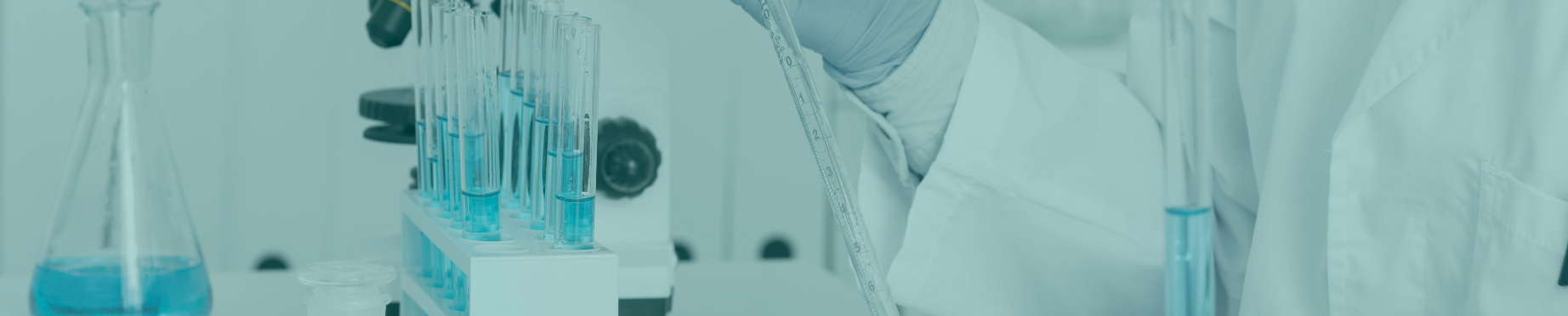 Imagen de bienvenida